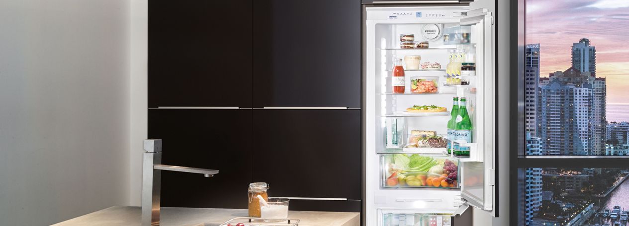 Liebherr store fridge price