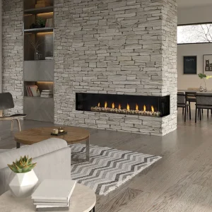 Regency San Francisco Bay 72 Gas Fireplace - CB72EPV